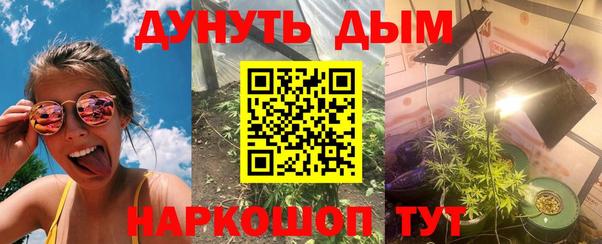 Конопля план  Вход с VPN  Марихуана гибрид  Керчь 